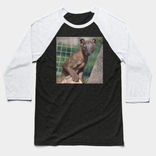 Fossa Baseball T-Shirt